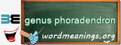 WordMeaning blackboard for genus phoradendron